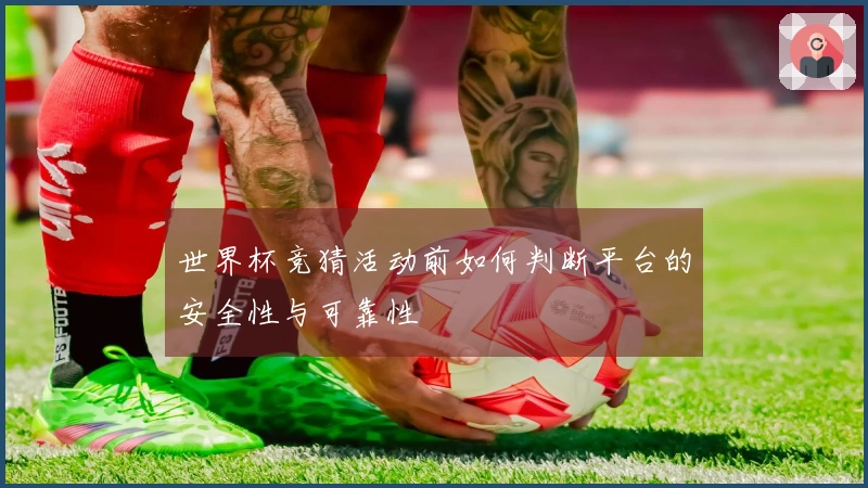 世界杯竞猜活动前如何判断平台的安全性与可靠性