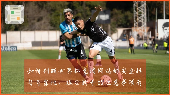 如何判断世界杯竞猜网站的安全性与可靠性，适合新手的注意事项有哪些？