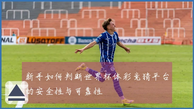 新手如何判断世界杯体彩竞猜平台的安全性与可靠性