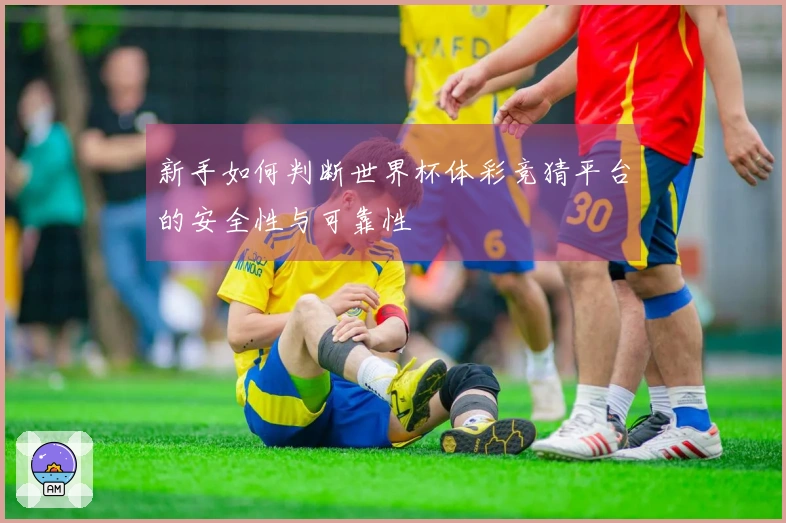 新手如何判断世界杯体彩竞猜平台的安全性与可靠性