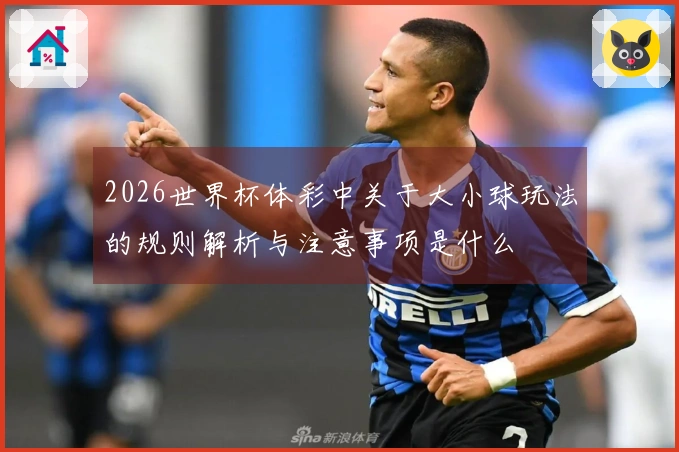2026世界杯体彩中关于大小球玩法的规则解析与注意事项是什么