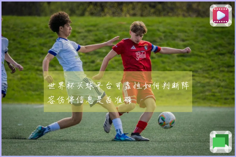 世界杯买球平台可靠性如何判断阵容伤停信息是否准确