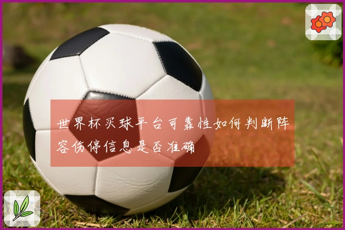 世界杯买球平台可靠性如何判断阵容伤停信息是否准确