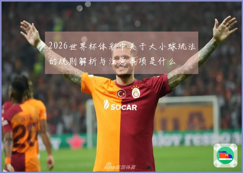 2026世界杯体彩中关于大小球玩法的规则解析与注意事项是什么